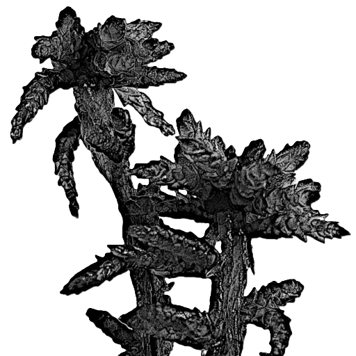 torfmoos.de Logo